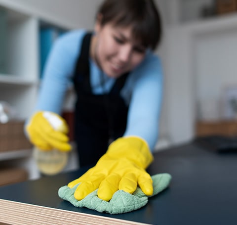 Residential Cleaning Sarasota