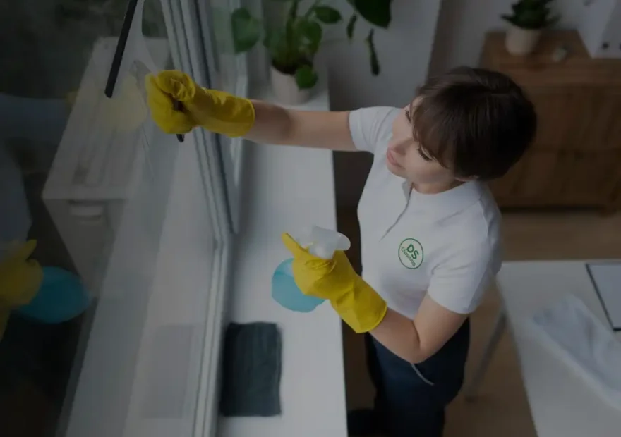 DS_cleaning_home